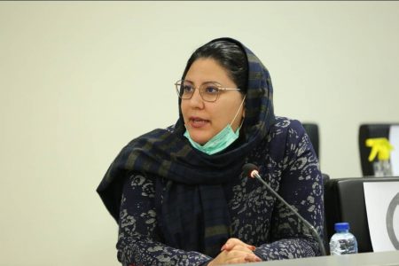 بخش خصوصی می تواند با جذب سرمایه گذار همراه باشد